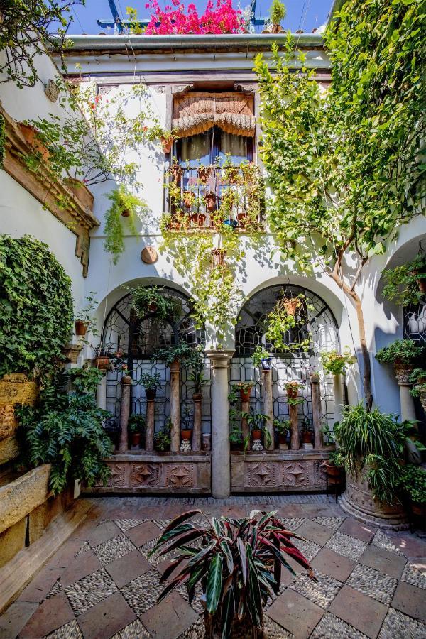 Apartamento Con Patio Cordobes En San Basilio & Parking Córdoba Buitenkant foto