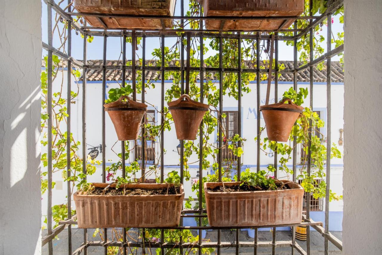 Apartamento Con Patio Cordobes En San Basilio & Parking Córdoba Buitenkant foto