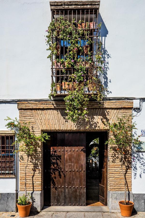Apartamento Con Patio Cordobes En San Basilio & Parking Córdoba Buitenkant foto